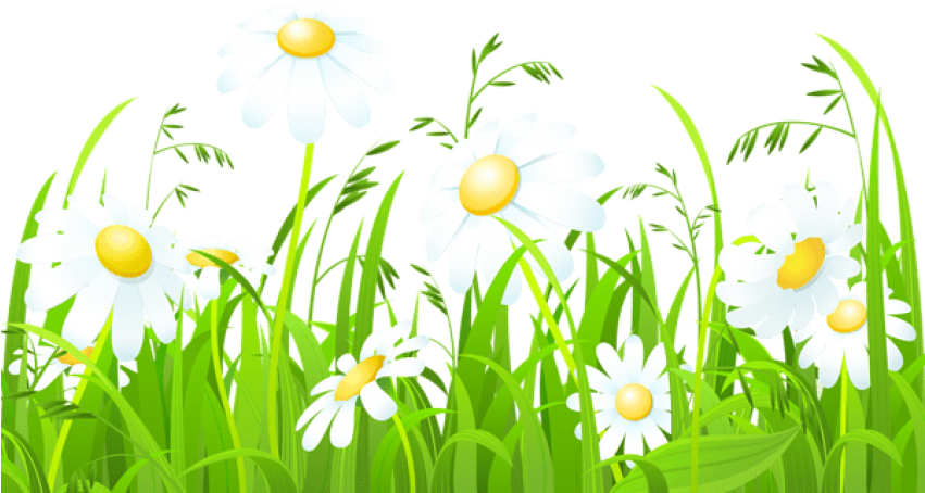 Download Free Png Download White Flowers And Grass Transparent - Grass