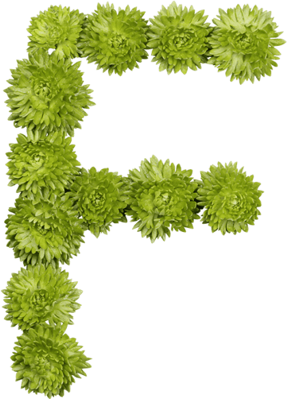 Green Flower Font - Grass Clipart (595x595), Png Download