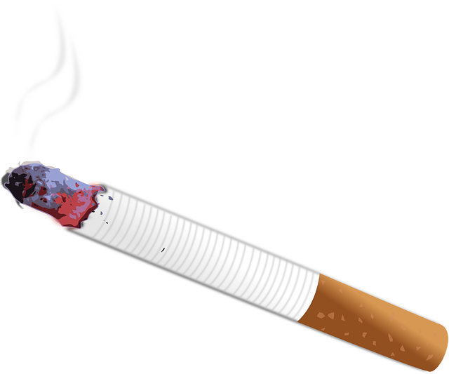 The Harmful Effects Of Second Hand Smoke - Quit Smoking Clip Art - Png Download (640x533), Png Download