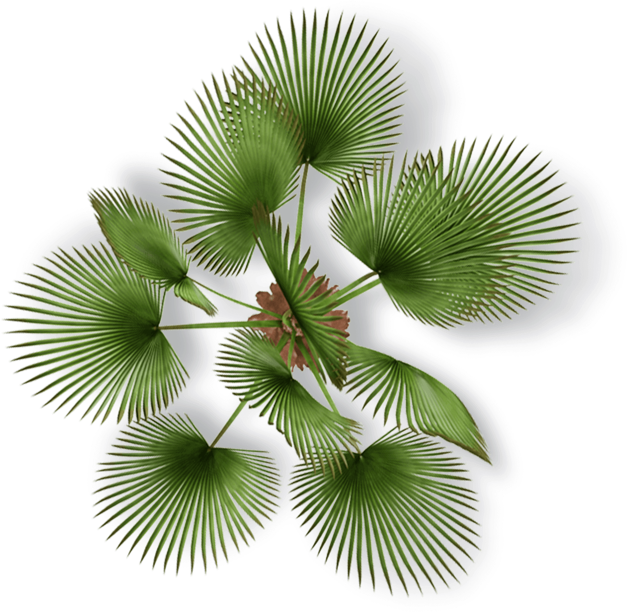 Measuring Needs - Plante Plan Png Clipart (1282x1260), Png Download