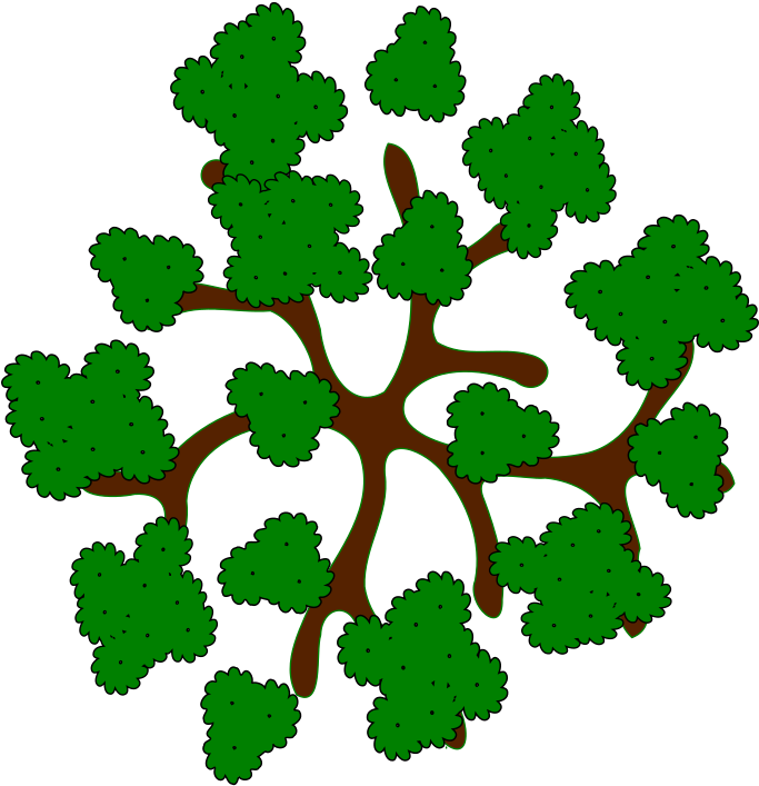 28 Collection Of Trees Clipart Top View - Tree Top View Cartoon - Png Download (682x706), Png Download