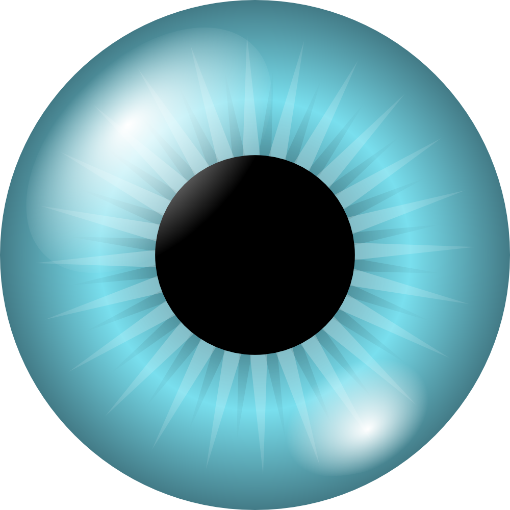 Clip Black And White Blue Eyes Round Pencil And In - Eye Pupil Clipart - Png Download (1000x1000), Png Download