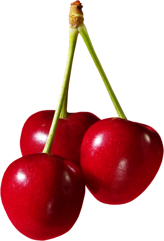 Cherries Fruit Png Clipart - Fruit Clipart Png Transparent Png (561x826), Png Download