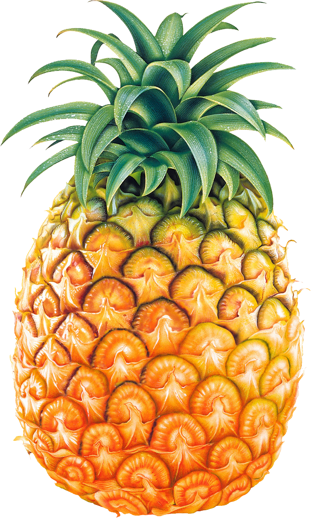 Pineapple Fruit Png Image - Pineapple Png Clipart (640x1067), Png Download