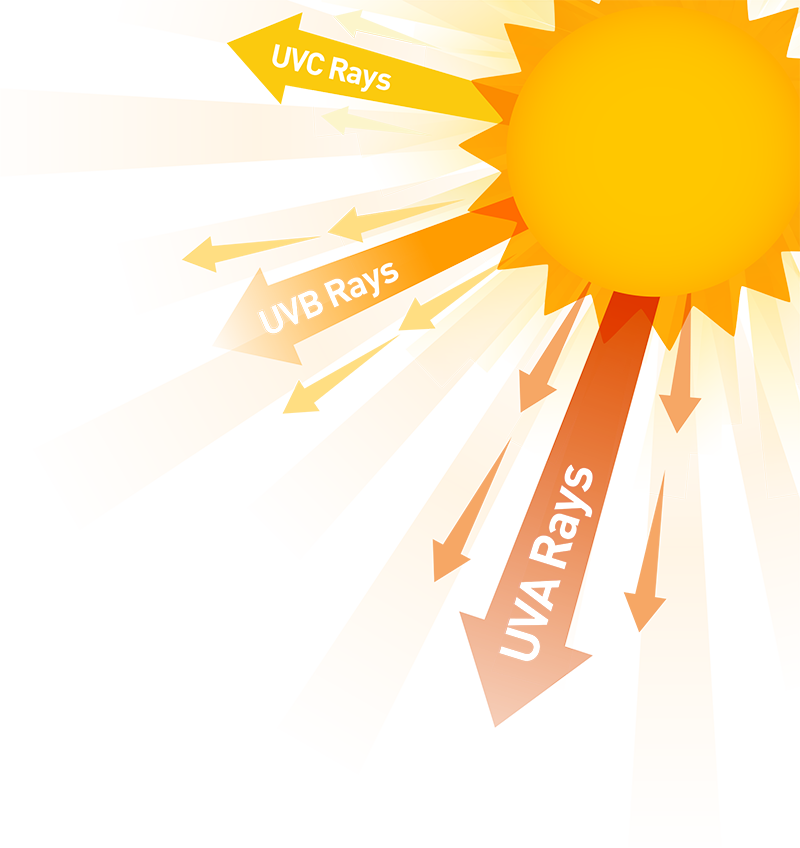 Sunlight Clipart Sun Exposure - Uv Rays - Png Download (800x848), Png Download