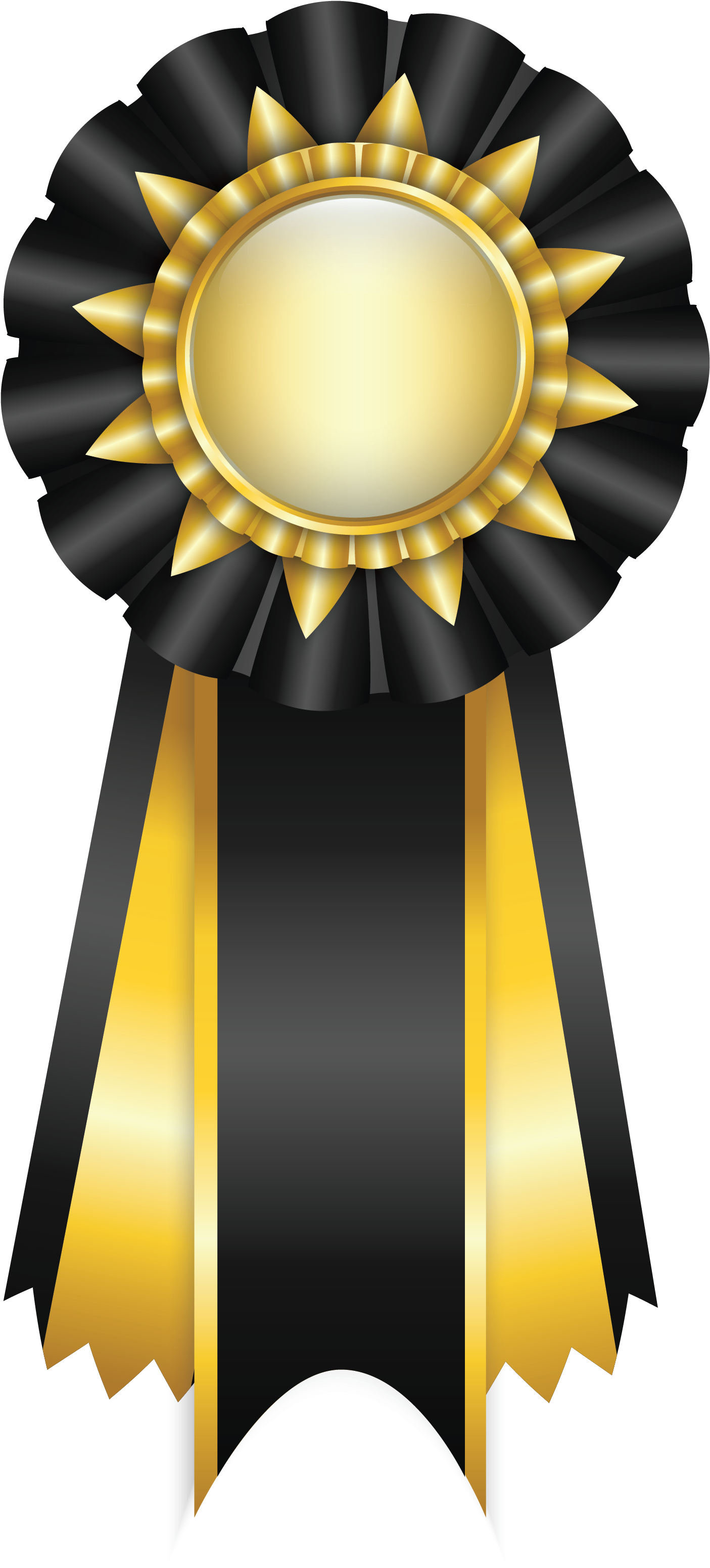 Black Rosette Ribbon Png Clipart Picture - Blue Ribbon Award Png Transparent Png (1799x3261), Png Download