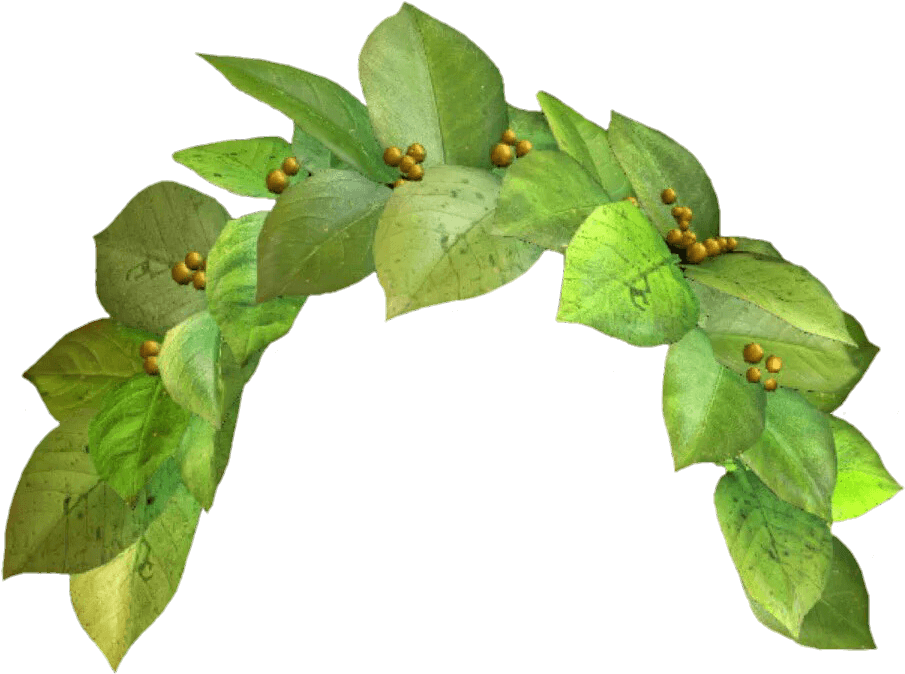 Icons Logos Emojis - Green Flower Crown Png Clipart (1080x823), Png Download