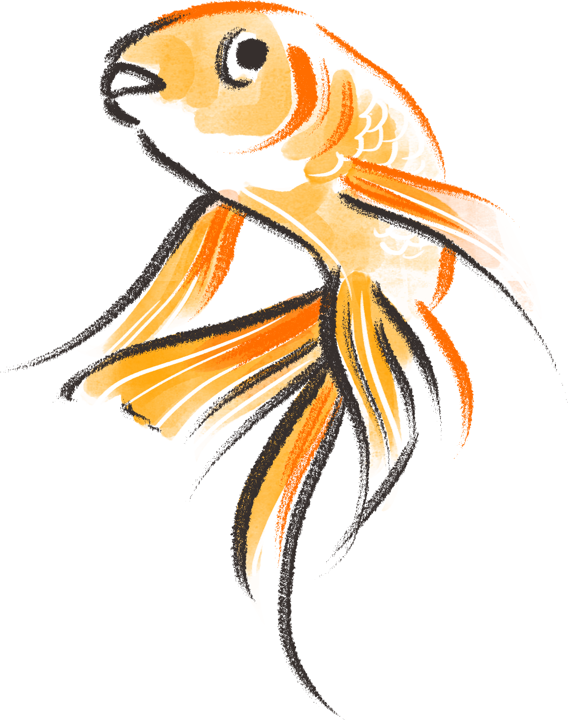 Goldfish - Cartoon Clipart (1130x1433), Png Download