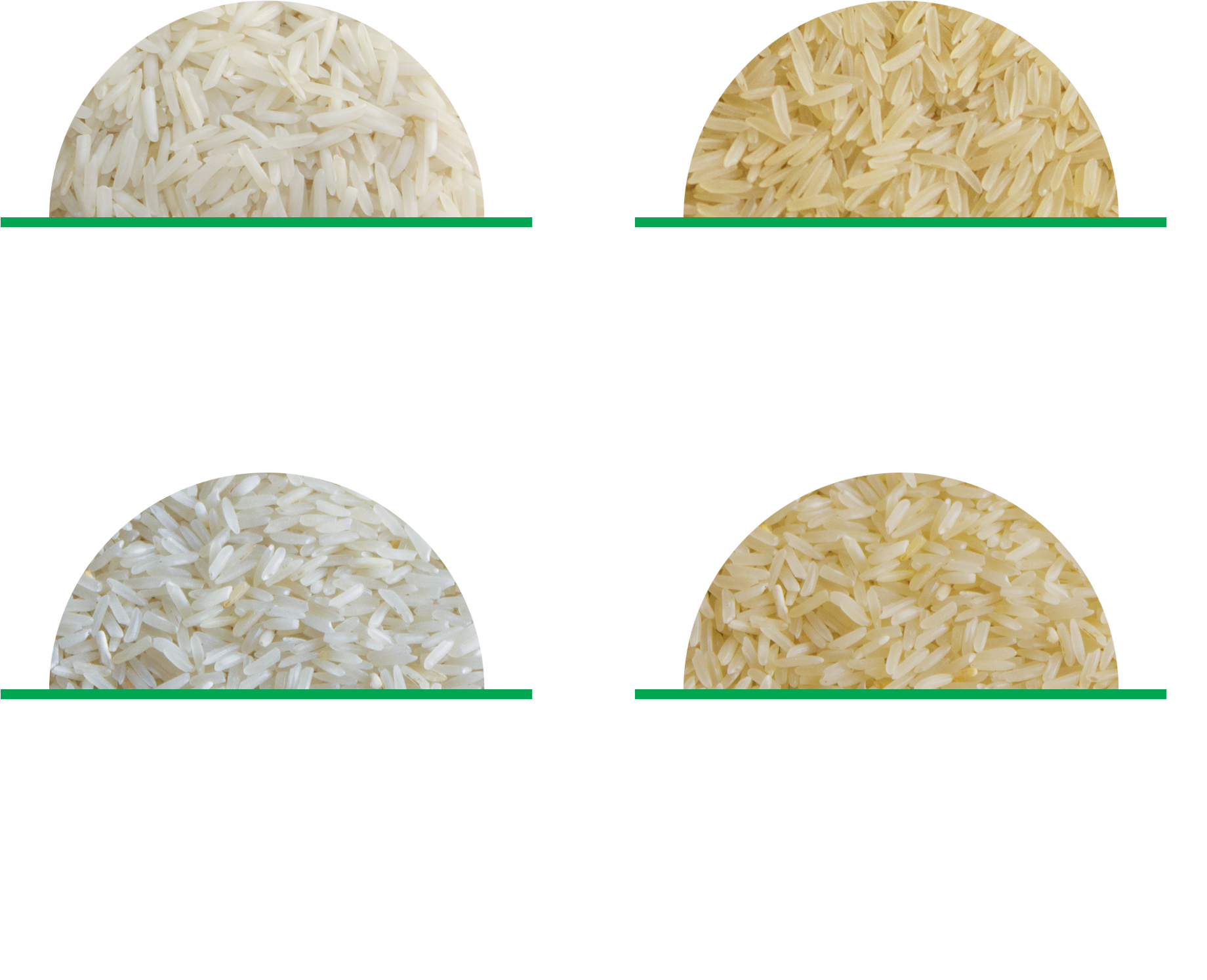 Processing Of Rice Involves The Procedure Of Drying, - Types Of Rice Png Clipart (1938x1573), Png Download