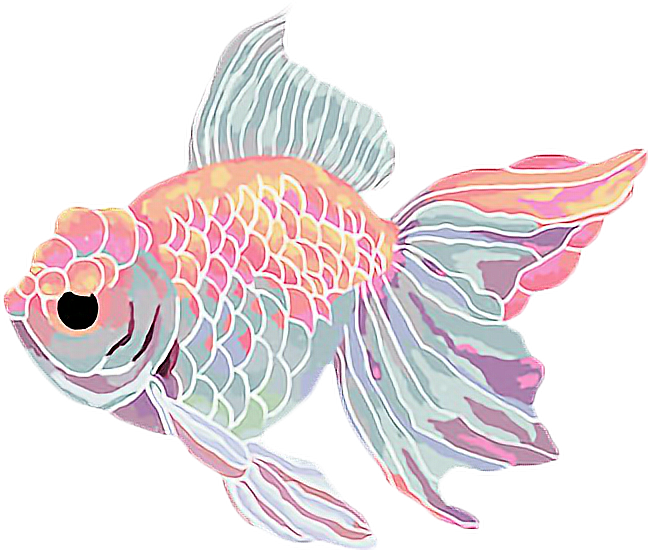 Graphic Free Download Fish Flower Aesthetic Kawaii - Goldfish Aesthetic Clipart (648x550), Png Download