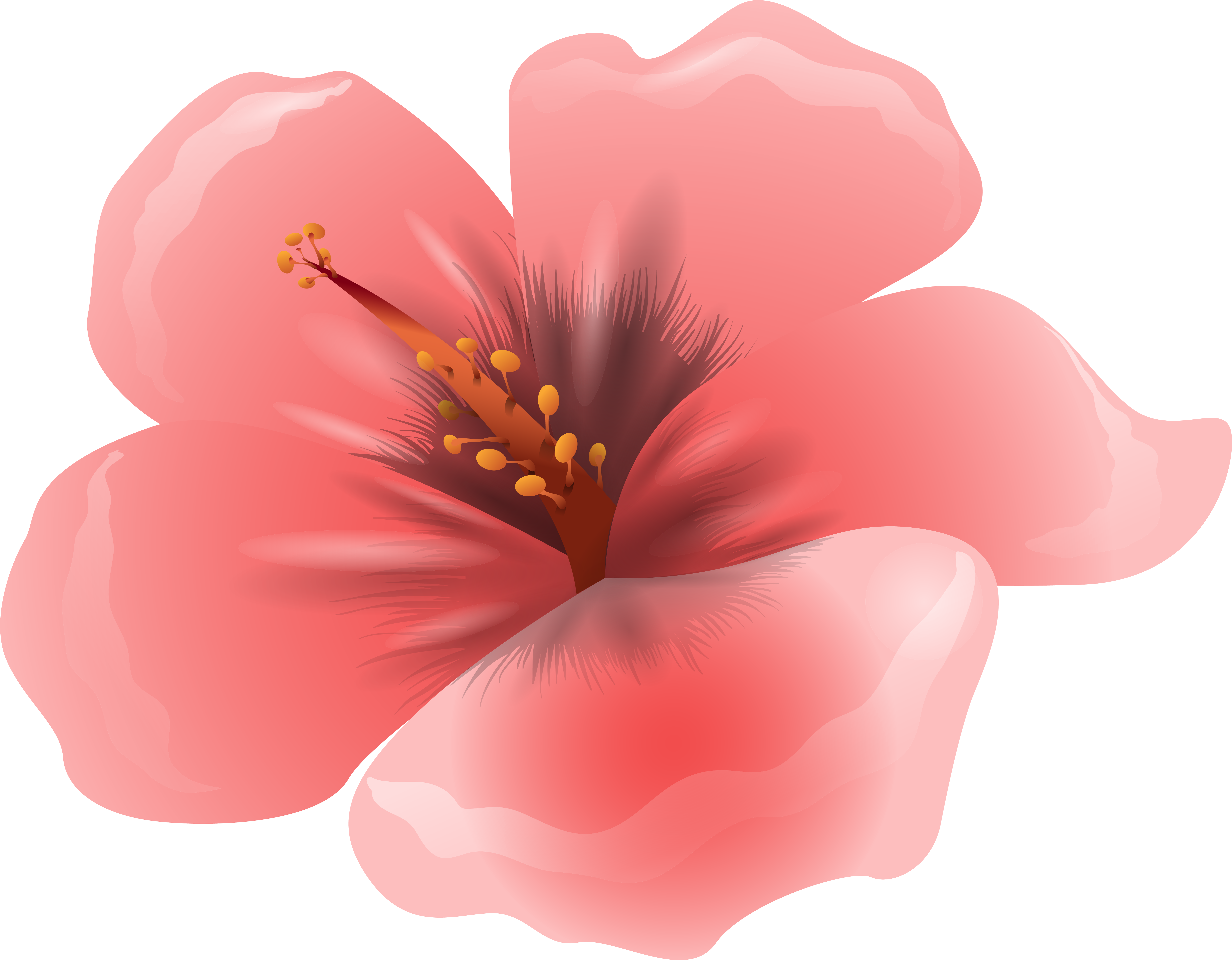 Large Pink Flower Clipart Png Image - Pink Flowers Clipart Png Transparent Png (6258x4877), Png Download
