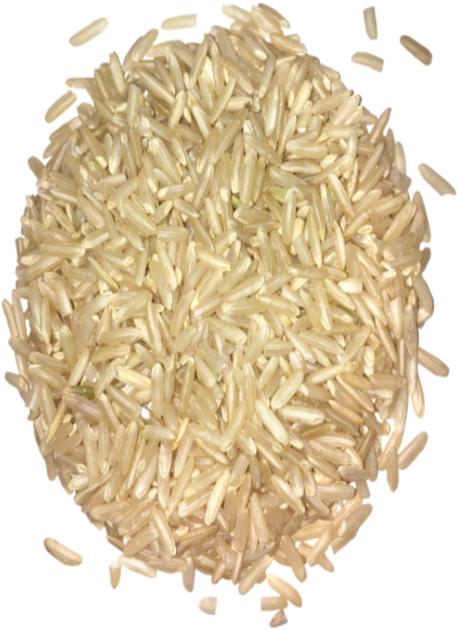 Brown Rice Png Pic - Basmati Clipart (500x682), Png Download