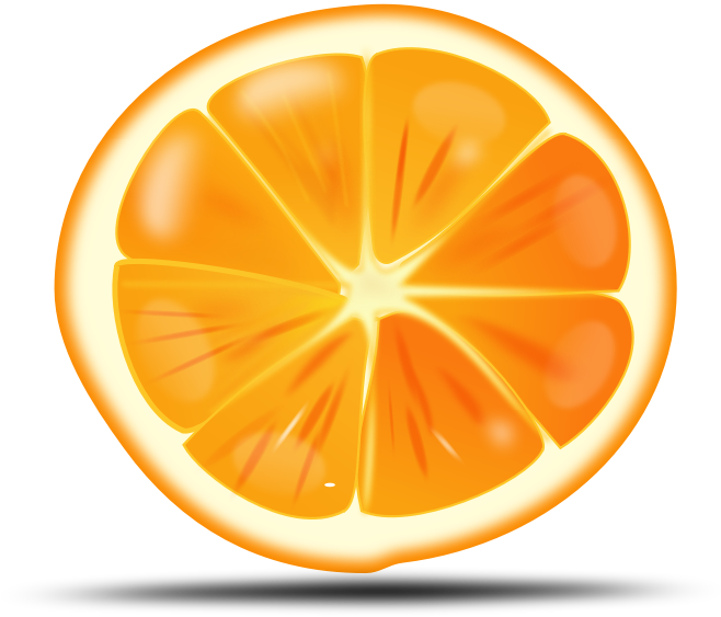 Fruits Picture - Orange Slice Vector Free Clipart (800x800), Png Download