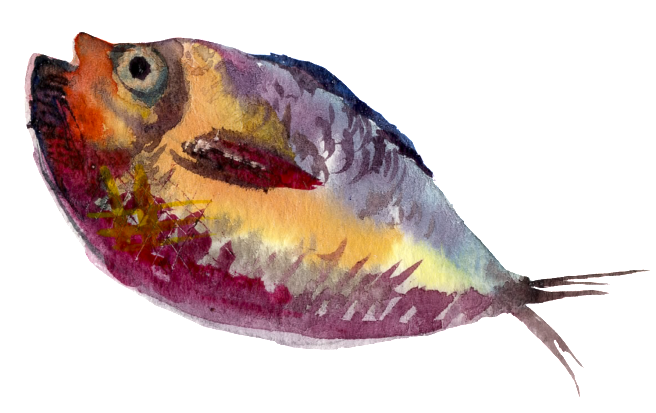 Yellow Purple Watercolor Hand Painted Goldfish Transparent - Fish Painting Png Clipart (1024x1024), Png Download