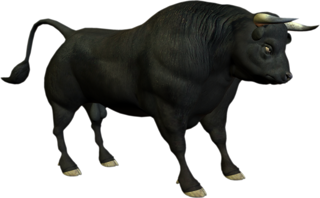 Bull Png Photo - Bull Png Clipart (1024x635), Png Download