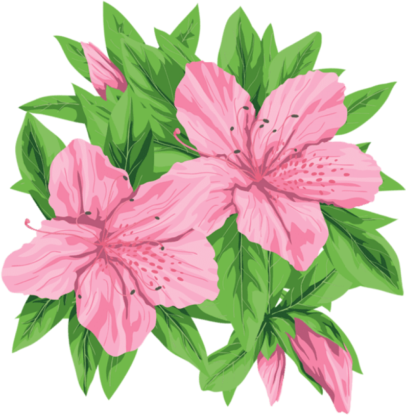 Free Png Download Pink Flowers Png Clip-art Png Images - Pink Flower Clipart Real Transparent Png (850x819), Png Download