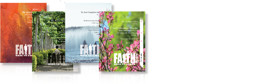 Orchid Clipart (950x354), Png Download