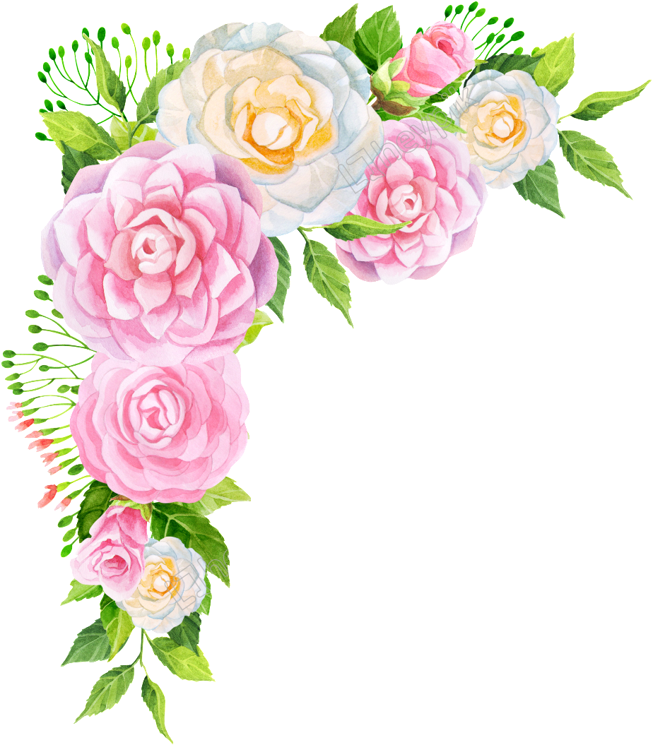 Hand Pink Flower Png Free Download - Flowers Peonies Png Transparent Clipart (1024x1203), Png Download
