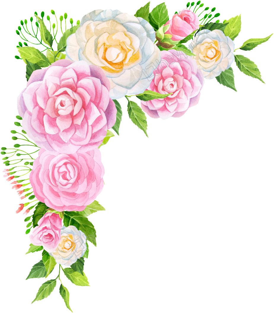 Hand Pink Flower Png Free Download Flowers Peonies Png Transparent Clipart Large Size Png Image Pikpng