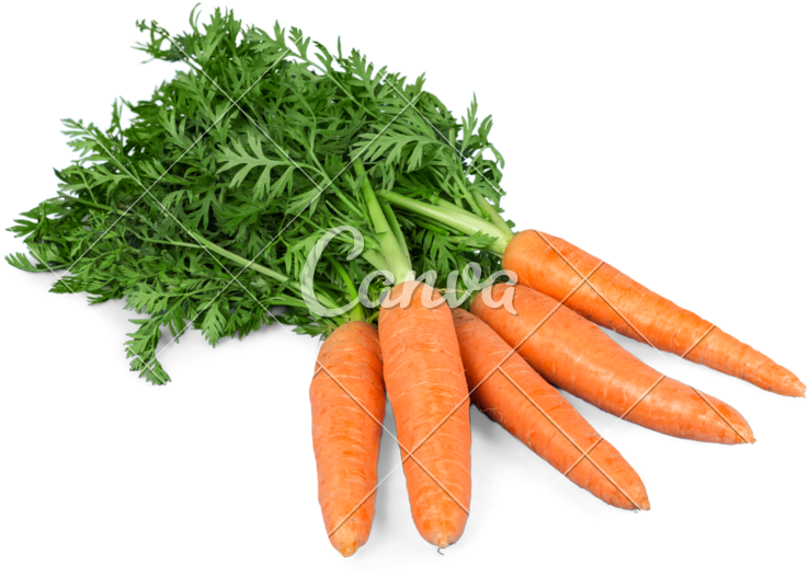Carrot Vector Bunch - Zanahoria Fresca Clipart (800x560), Png Download