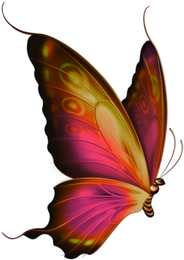 #mq #red #butterfly #butterflys #flying - Mariposas Para Dibujar A Lapiz Clipart (586x827), Png Download