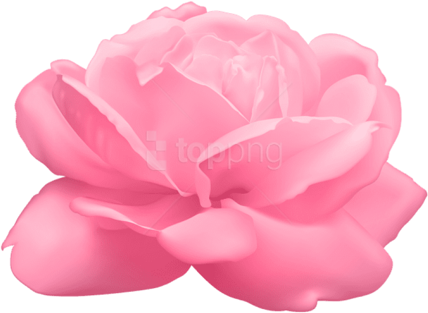 Free Png Pink Rose Png Images Transparent - Artificial Flower Clipart (850x620), Png Download