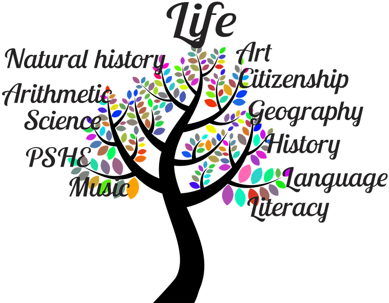 School, Tree, Tree Of Life, School Subjects - Education Tree Clipart (960x654), Png Download