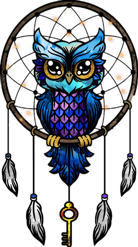 Owl Mandala Dreamcatcher Image Drawing - Dream Catcher Drawing Clipart (480x858), Png Download