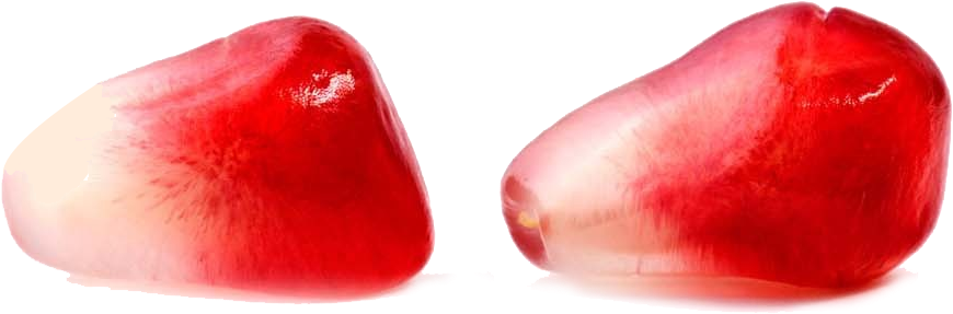 Pomegranate Seed Png - Earrings Clipart (1211x486), Png Download