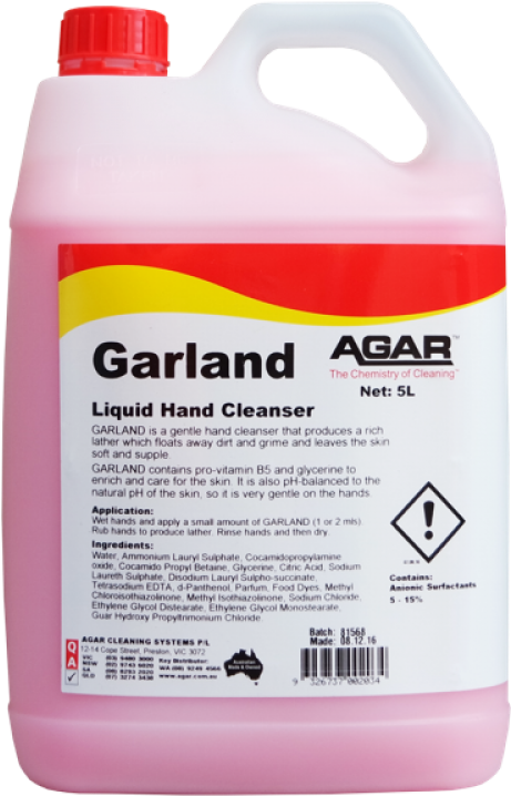 Carpenter Ant Clipart (800x800), Png Download