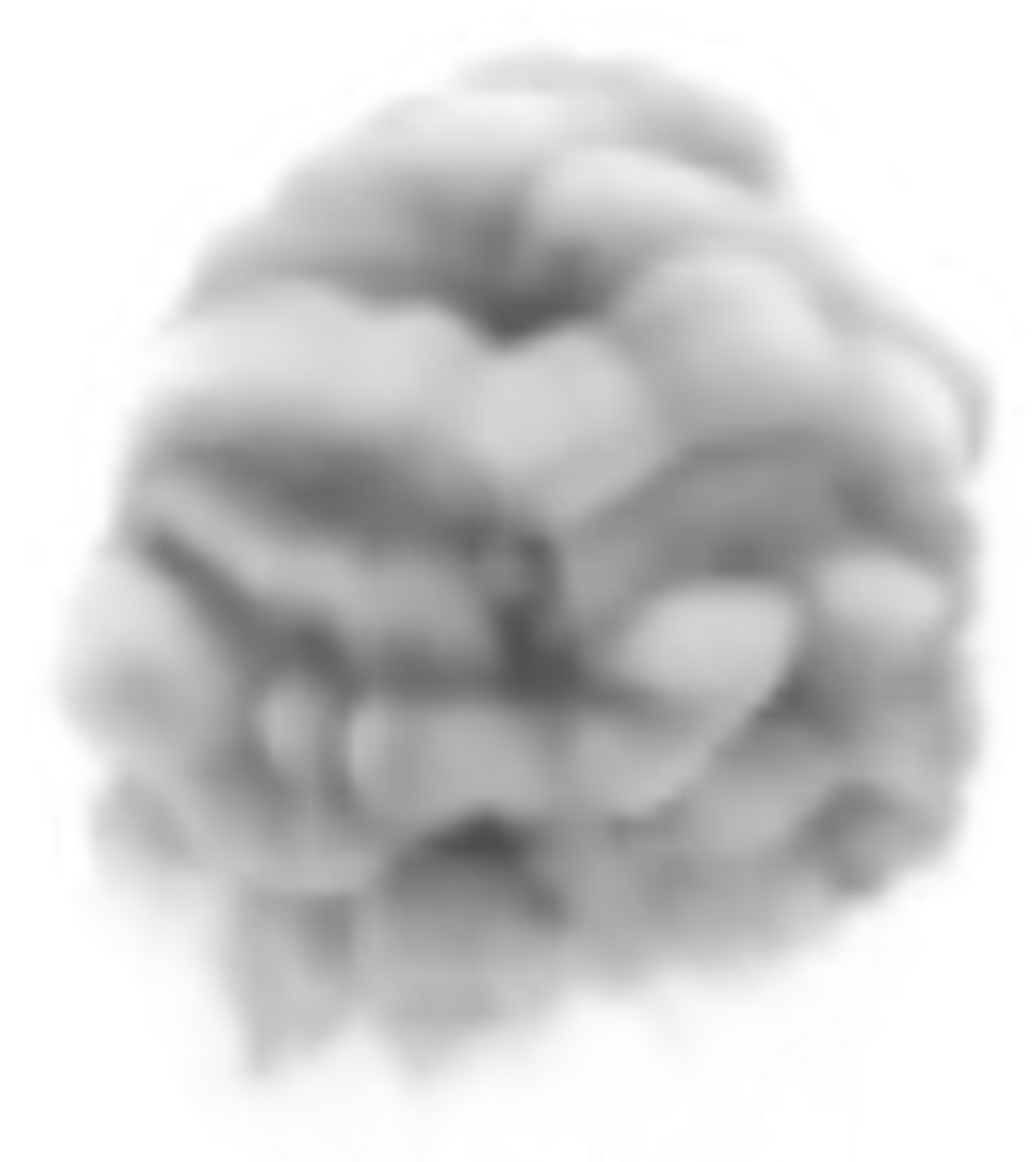 Transparent Smoke Clipart Png Image - Smoke Clipart Transparent Background (5374x6147), Png Download