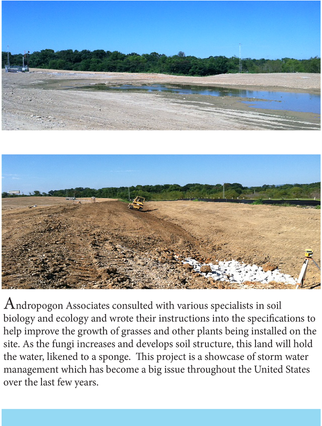 Chattanooga-2 - Freshwater Marsh Clipart (689x851), Png Download