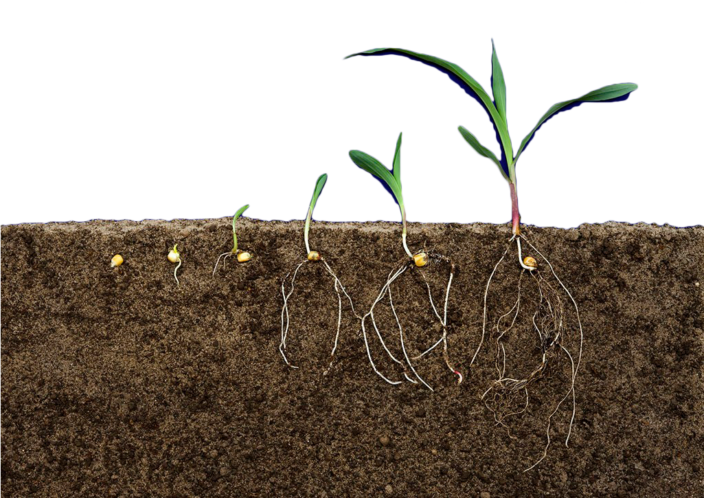 Soil Transparent - Earth Soil Png Clipart (1024x743), Png Download