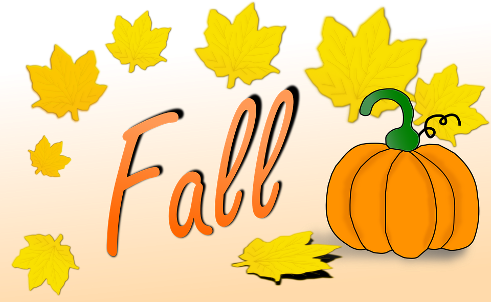 Pumpkin Fall Leaves - Pumpkin Clipart (960x591), Png Download