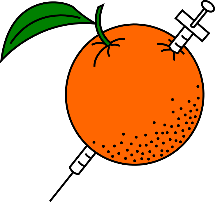 Dinosaur Birthday Party Labels Clipart (738x692), Png Download