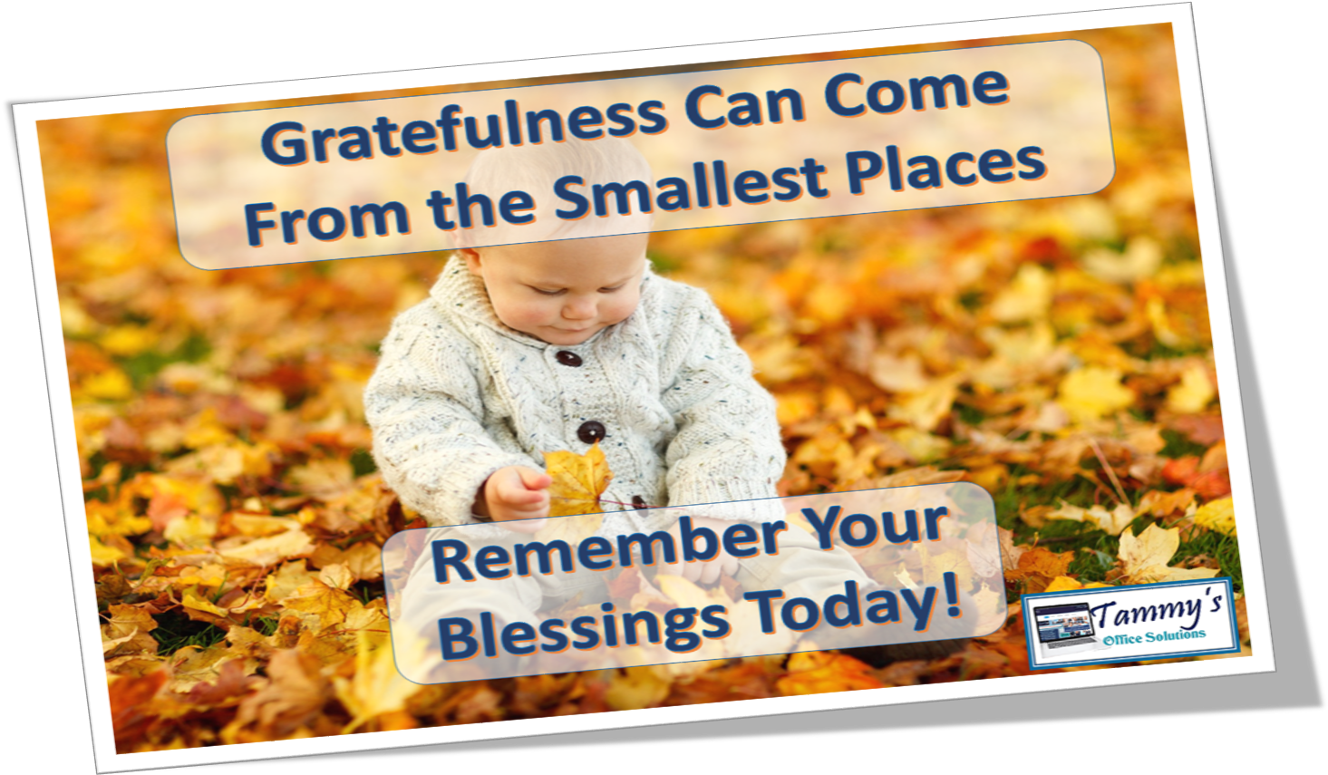 #grateful - #thankful - #blog - #tammysoffices Blog - Baby In Leaves Clipart (1474x921), Png Download