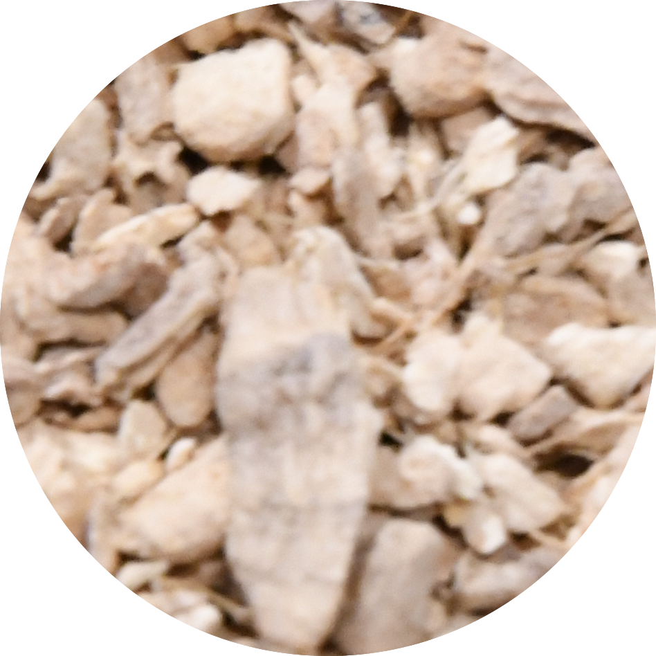 Dsc 5654 - Waxworm Clipart (948x948), Png Download