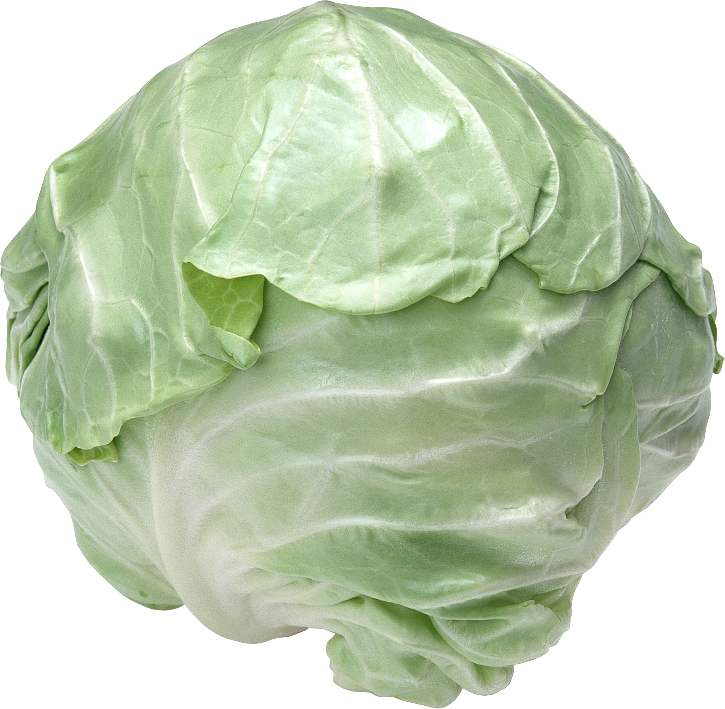 Cabbage - Cabbage Png Clipart (2502x2449), Png Download