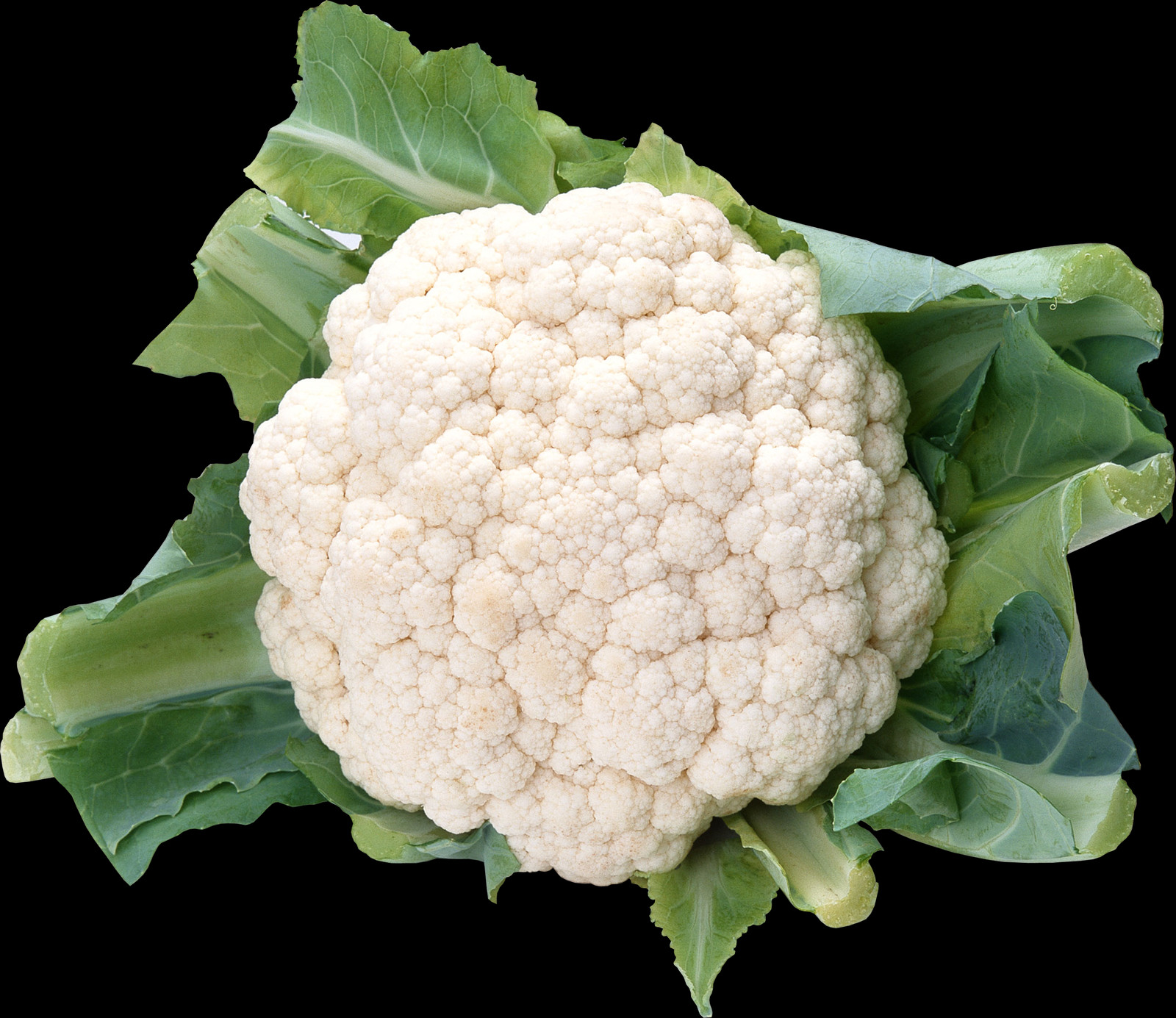 Cauliflower Clipart (1600x1385), Png Download