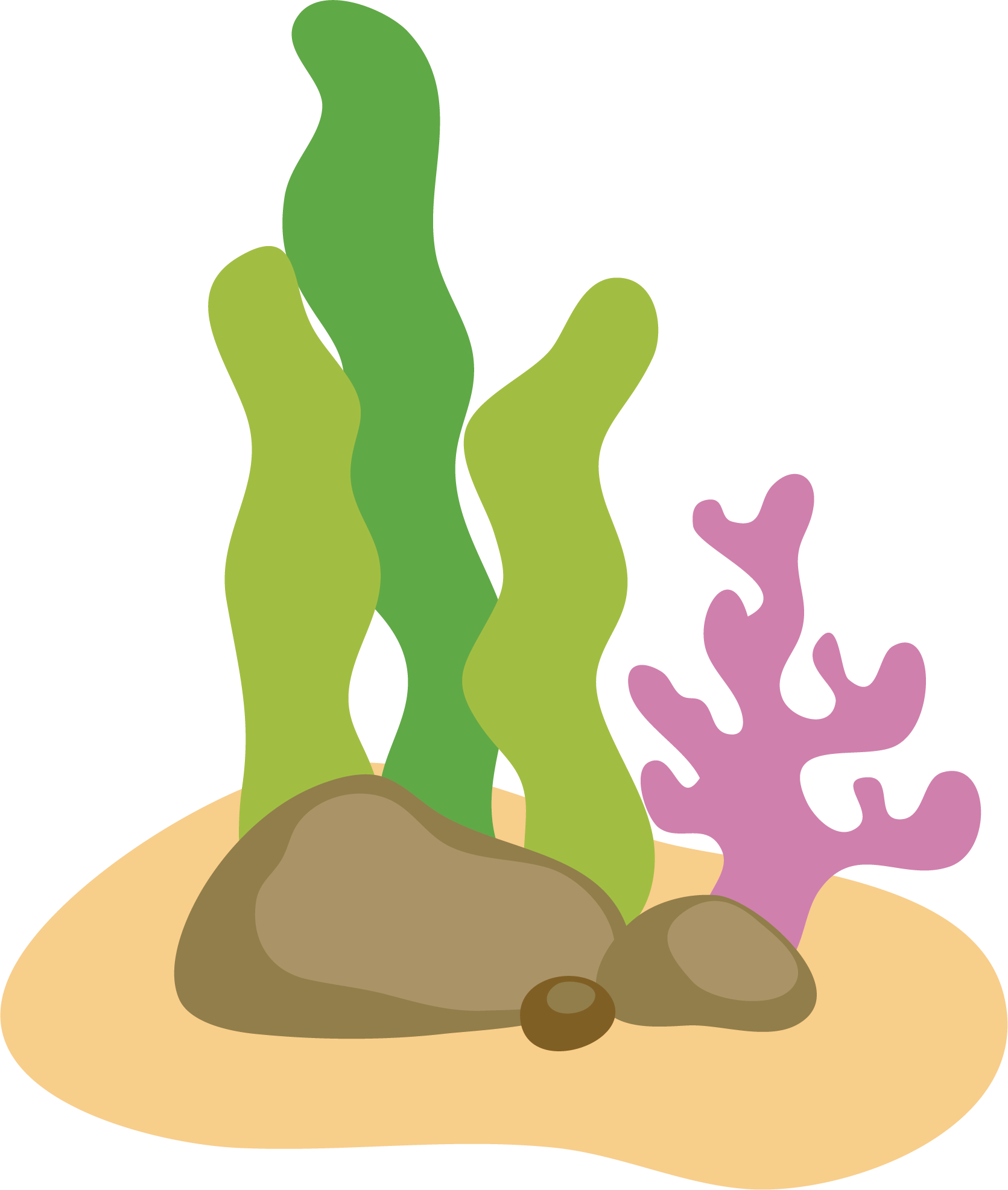 Cartoon Sea Weed Clipart (1671x1973), Png Download