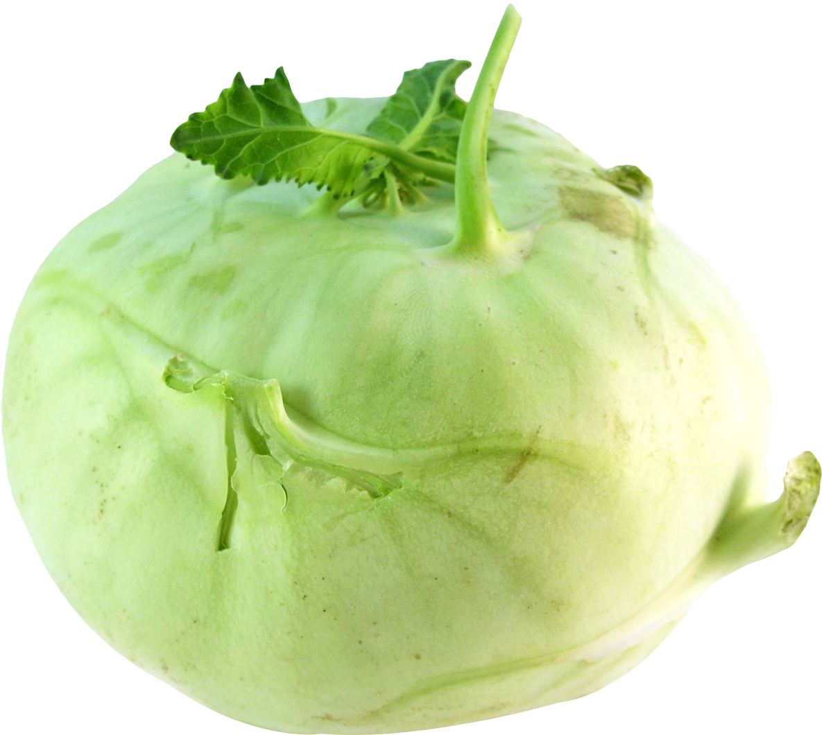 Red Beet & Red Cabbage - Kohlrabi Png Clipart (1252x1152), Png Download