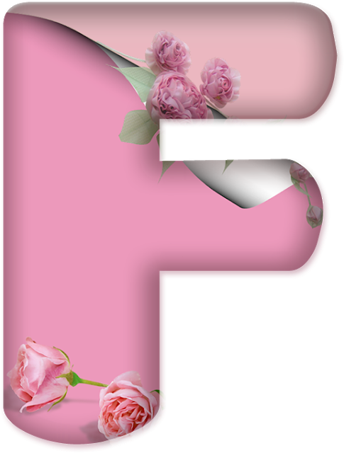 Alfabeto Decorativo Rosas Png - Garden Roses Clipart (485x640), Png Download