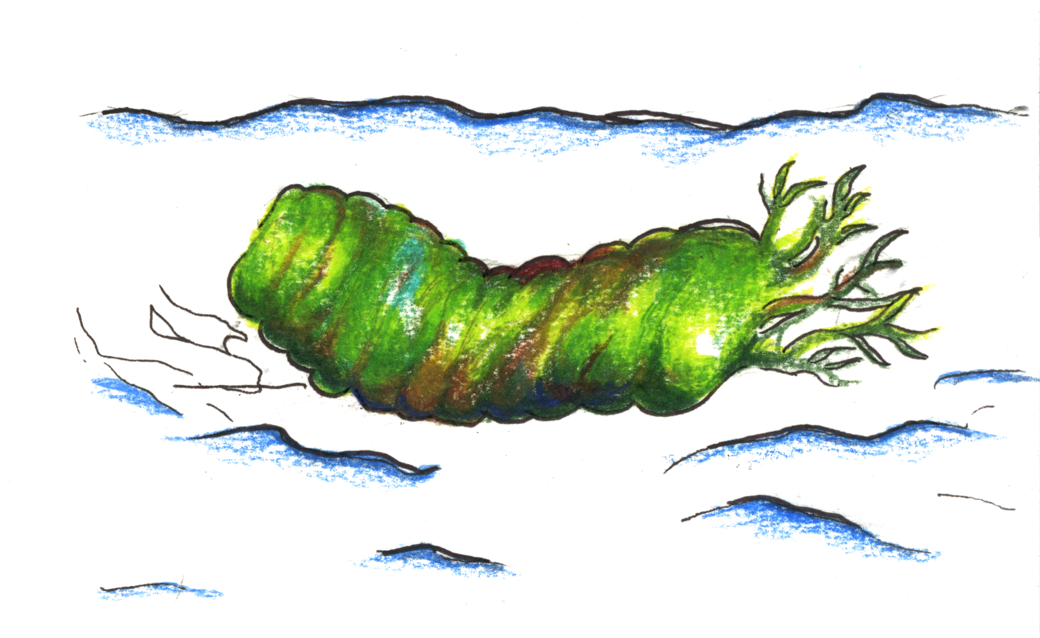 Imperial Moth Clipart (2048x1257), Png Download