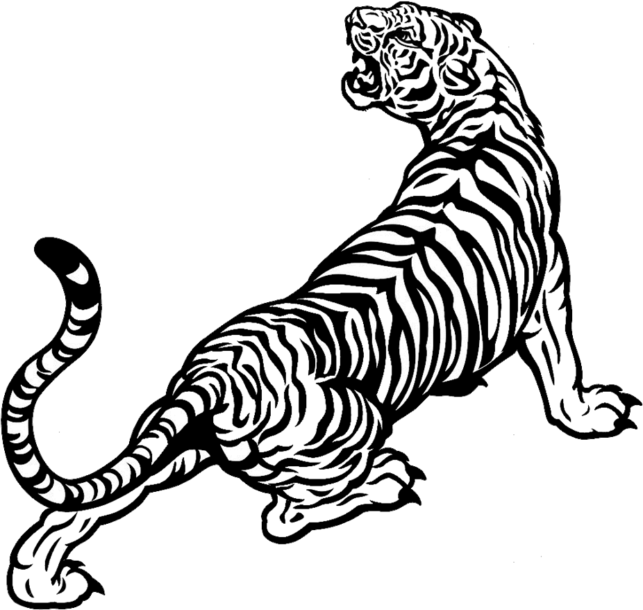 Drawing Cats Tiger - White Tiger Vector Png Clipart (940x905), Png Download