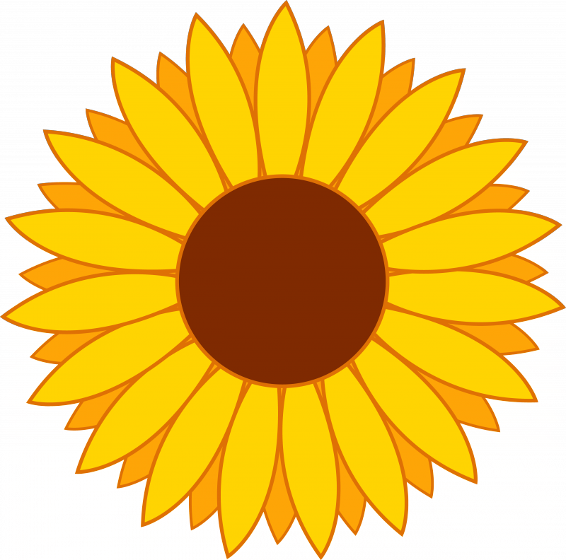 Free Yellow Flower Clipart - Cute Sunflower Clipart - Png Download (800x792), Png Download
