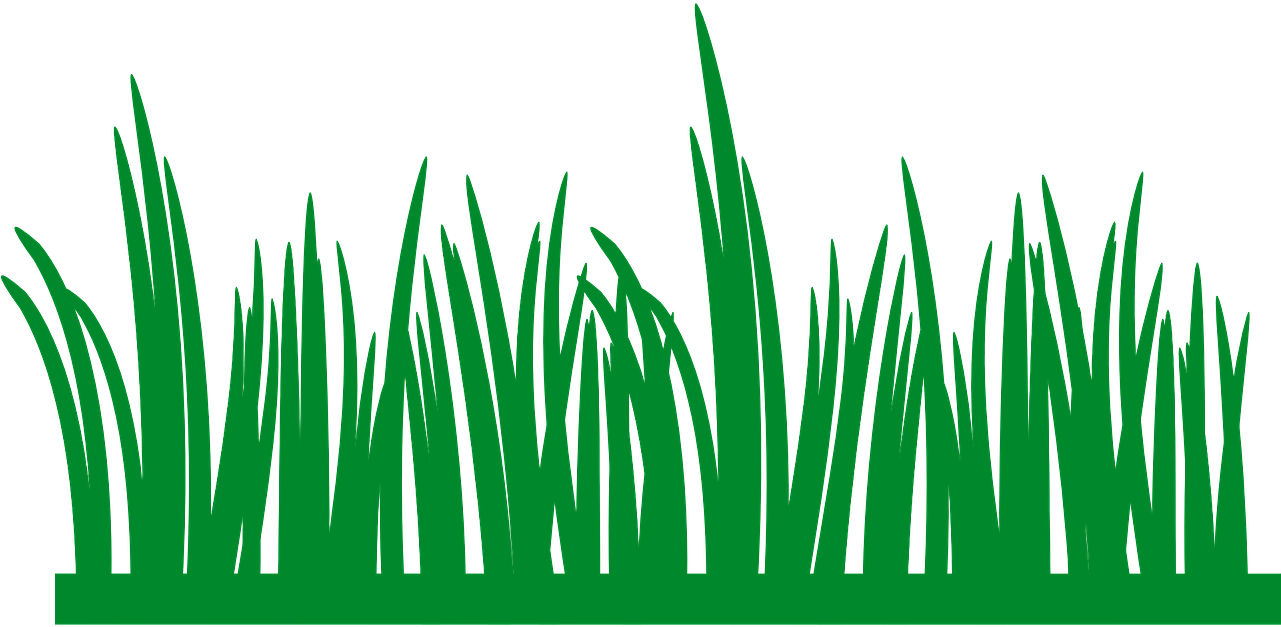 Grass Lawn Green Field Meadow Png Image - Grama Desenho Clipart (1280x640), Png Download