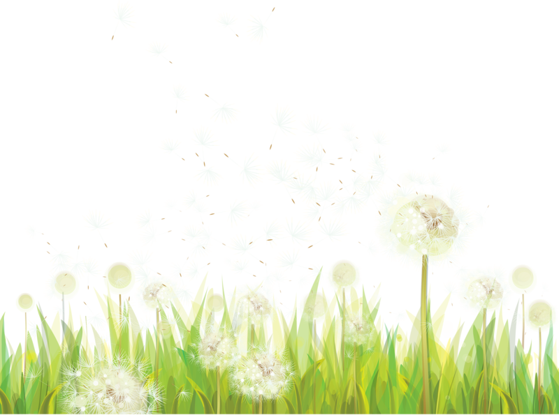 Pin By Cher Messercola On Cheryl's Clipart - Sweet Grass - Png Download (800x595), Png Download