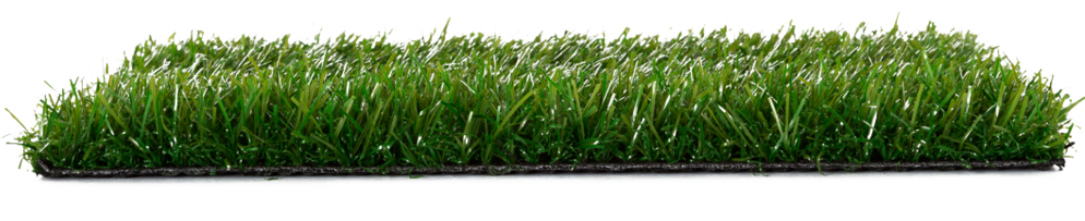 Erba - Lawn Clipart (1000x891), Png Download