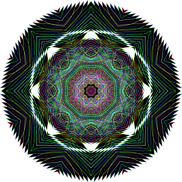 Geometry Symmetry Circle Hashtag Organism - Circle Clipart (750x750), Png Download