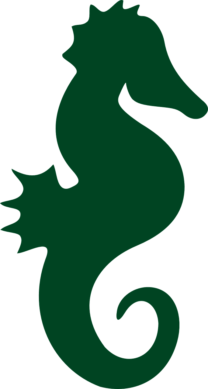 Seahorse Sea Horse Sea Life Png Image - Mermaid Seahorse Silhouette Clipart (684x1280), Png Download
